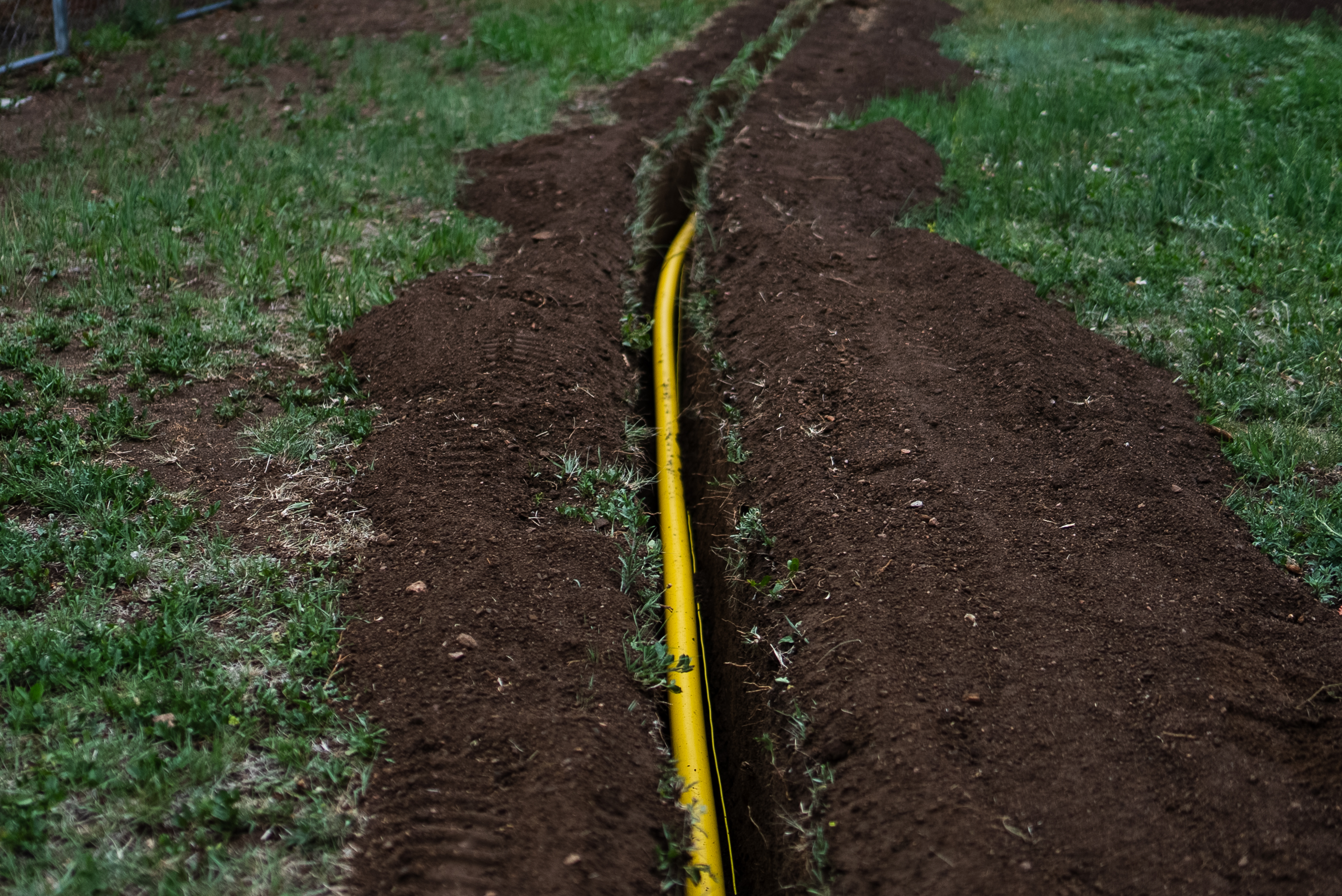 Yellow gas pipe laid in an open trench running across a residential yard